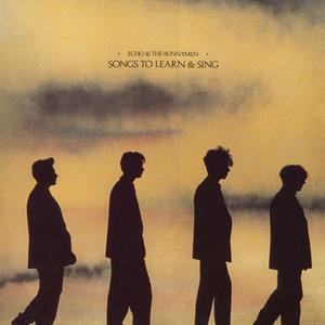 Echo & The Bunnymen
